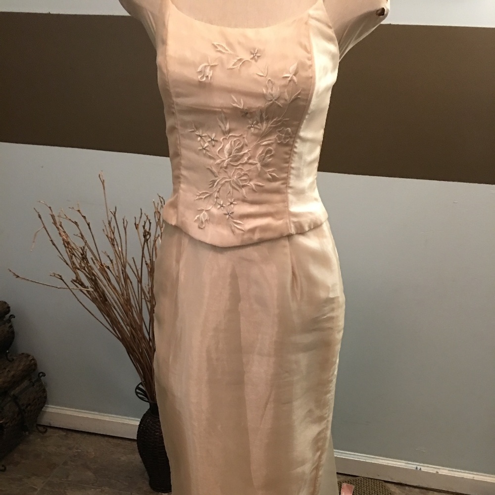 Scott McClintock Floral Embroidered Sheer Dress